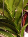 Nom du fichier=image~64.jpg
Taille du fichier=32Ko
Dimensions : 240x320
Ajouté le : 18 Mai 2015 image~64.jpg