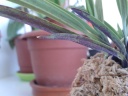 20150314_155750.jpg