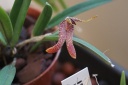 DSC02880_light.jpg