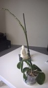 Nom du fichier=08b715d4ab13e931adbf85706a4cf741.jpg
Taille du fichier=65Ko
Dimensions : 449x800
Ajouté le : 17 Avril 2015 08b715d4ab13e931adbf85706a4cf741.jpg