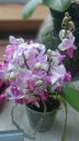 Image-1431764985375.jpg