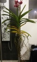 20150602_223642.jpg