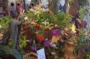 Nom du fichier=4.jpg
Taille du fichier=232Ko
Dimensions : 800x531
Ajouté le : 22 Mai 2016 4.jpg