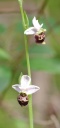 IMGP4521.JPG