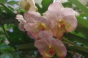 IMGP6915.jpg