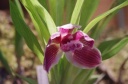 IMGP9411.jpg