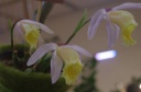 IMGP9473.jpg