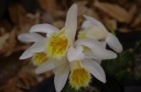IMGP9476.jpg