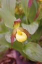 Nom du fichier=IMGP9486.jpg
Taille du fichier=87Ko
Dimensions : 531x800
Ajouté le : 27 Mars 2017 IMGP9486.jpg