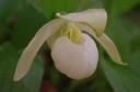 Nom du fichier=IMGP9488.jpg
Taille du fichier=76Ko
Dimensions : 800x531
Ajouté le : 27 Mars 2017 IMGP9488.jpg