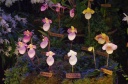 IMGP9570.jpg