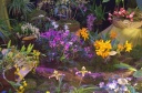 IMGP9592.jpg