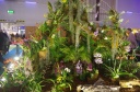 Nom du fichier=IMGP9614.jpg
Taille du fichier=251Ko
Dimensions : 800x531
Ajouté le : 27 Mars 2017 IMGP9614.jpg