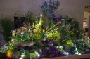 Nom du fichier=IMGP9621.jpg
Taille du fichier=209Ko
Dimensions : 800x531
Ajouté le : 27 Mars 2017 IMGP9621.jpg