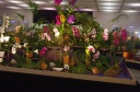 IMGP9641.jpg