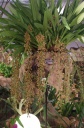IMGP9661.jpg