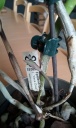 Nom du fichier=epidendrum_stamfordianum.jpg
Taille du fichier=128Ko
Dimensions : 480x800
Ajouté le : 28 Février 2016 epidendrum_stamfordianum.jpg