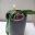 20160613_143614_875_expo_orchidees_128_PhotoRedukto.jpg