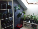 Nom du fichier=orchidees_023_PhotoRedukto~0.jpg
Taille du fichier=33Ko
Dimensions : 640x480
Ajouté le : 07 Août 2015 orchidees_023_PhotoRedukto~0.jpg