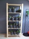 orchidees_024_PhotoRedukto.jpg