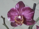 DSC01905.JPG
