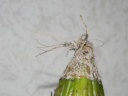 Nom du fichier=DSCN3635_compressee.jpg
Taille du fichier=24Ko
Dimensions : 448x336
Ajouté le : 24 Février 2016 DSCN3635_compressee.jpg