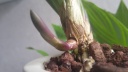 20160422_144942.jpg
