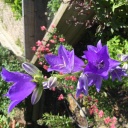 Nom du fichier=image~37.jpeg
Taille du fichier=205Ko
Dimensions : 640x640
Ajouté le : 09 Juin 2016 image~37.jpeg