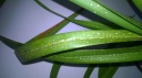 WP_20190308_09_28_45_Pro~0.jpg